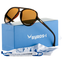 Load image into Gallery viewer, Aviator in Tortoiseshell