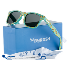 Load image into Gallery viewer, Pop Art Cheeseburger Wayfarers