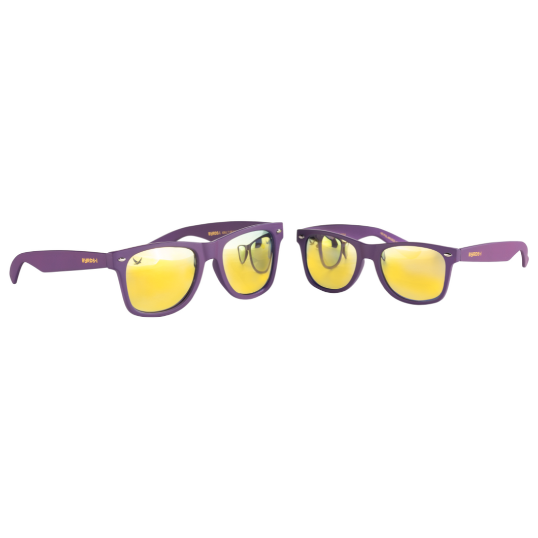Adult + Kid Purple & Gold Sunglasses