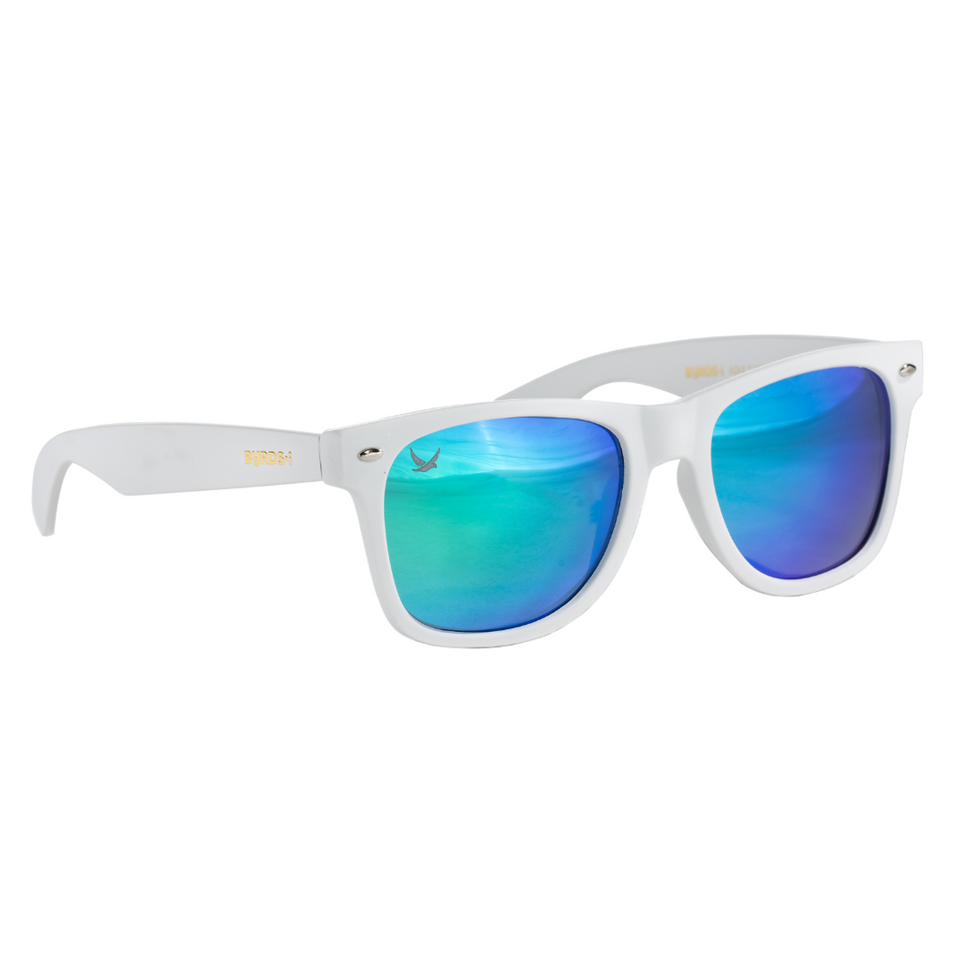 Wayfarer Sunglasses in White